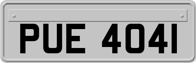 PUE4041