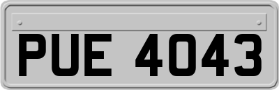 PUE4043