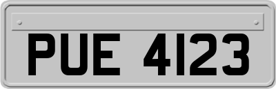 PUE4123