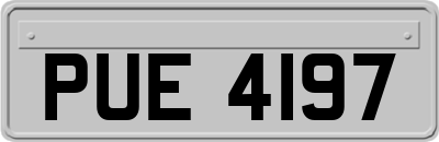 PUE4197