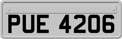 PUE4206