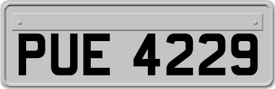 PUE4229