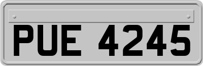 PUE4245