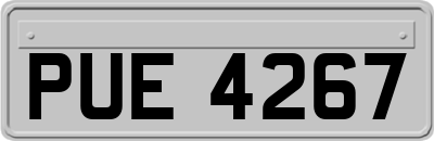 PUE4267