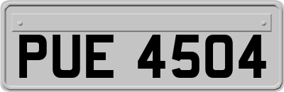 PUE4504