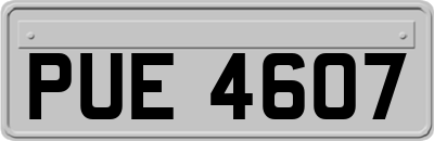 PUE4607