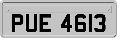 PUE4613