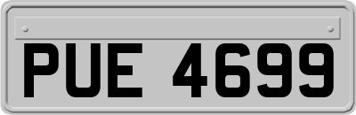 PUE4699
