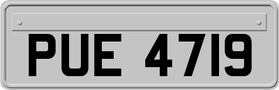 PUE4719