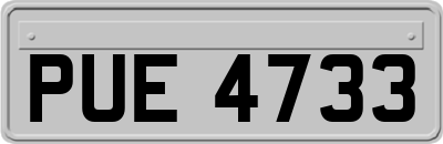 PUE4733