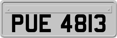 PUE4813