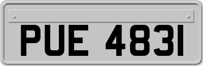 PUE4831