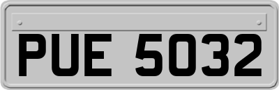 PUE5032