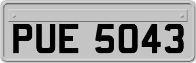 PUE5043