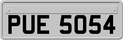 PUE5054