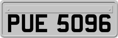 PUE5096