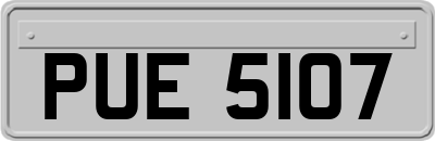 PUE5107