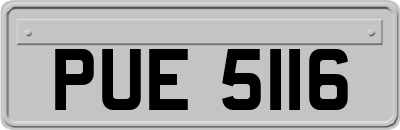 PUE5116
