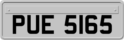 PUE5165