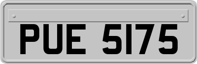 PUE5175
