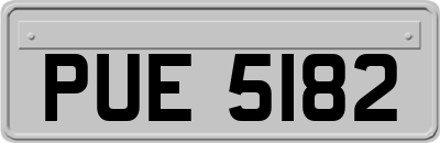 PUE5182