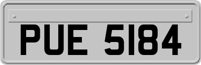 PUE5184