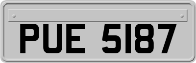 PUE5187