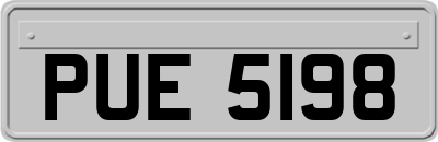 PUE5198