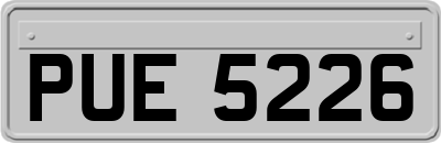 PUE5226