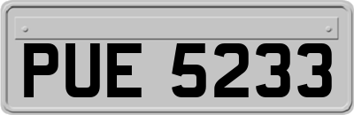 PUE5233