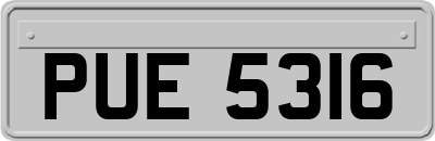 PUE5316