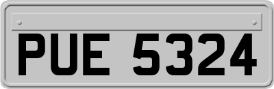 PUE5324