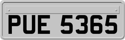 PUE5365