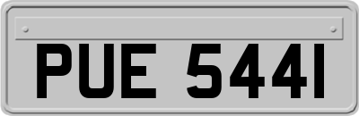 PUE5441