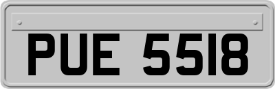 PUE5518