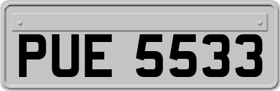 PUE5533