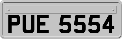PUE5554