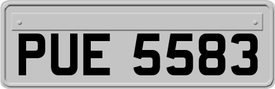 PUE5583