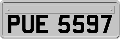 PUE5597