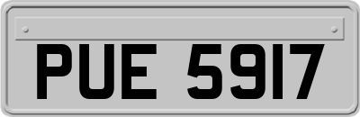PUE5917