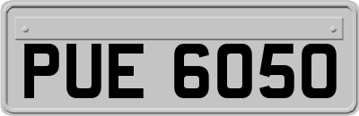 PUE6050