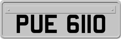 PUE6110