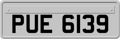 PUE6139