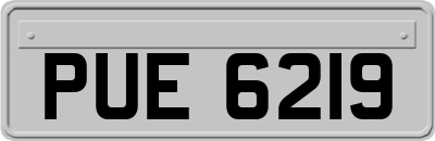 PUE6219