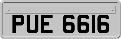 PUE6616
