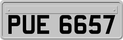 PUE6657