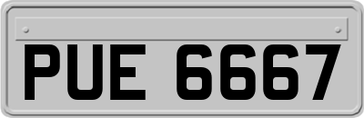 PUE6667