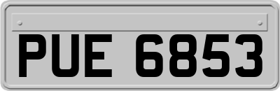 PUE6853