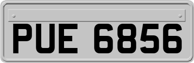 PUE6856