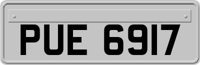 PUE6917